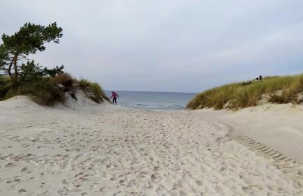Słowińskie Widoki domki Flora, Fauna, noclegi Smołdziński Las - Foto 40