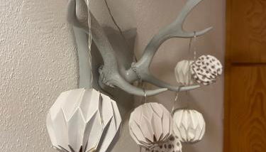 Lichtblick unter der Buche - Foto 4