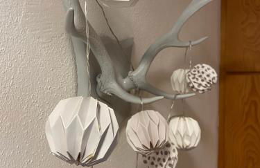 Lichtblick unter der Buche - Foto 4