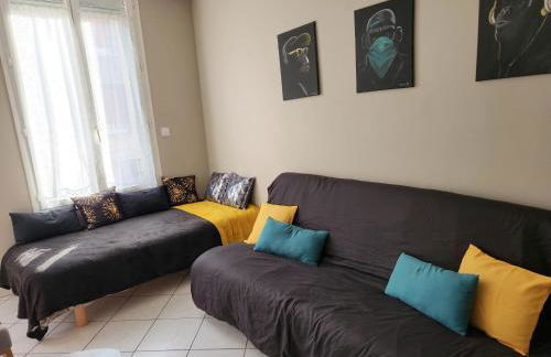 RDC 1 chambre-centre-ville-terrasse - Foto 5