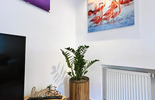 Apartment Silver Star with parking - Photo 1