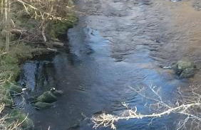 Gîte Du Lavoir - Foto 29