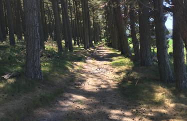 Up North Stays - Foto 21