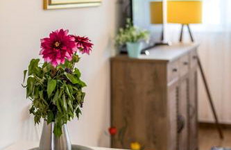 COMFORT STAY apartments - Foto 32