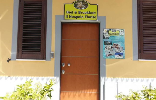 Il Nespolo Fiorito - Foto 2