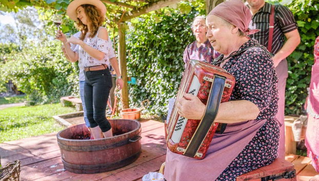 Pisa das uvas ao som da música italiana