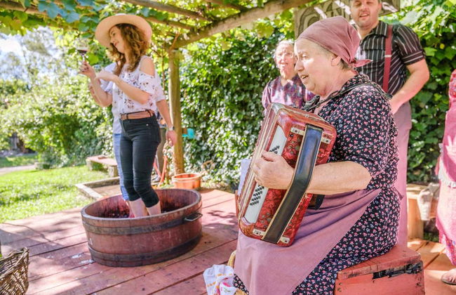 Visita di un'azienda vinicola con pranzo - Foto 4