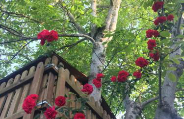 Casa "Le Rondinelle" - Foto 33