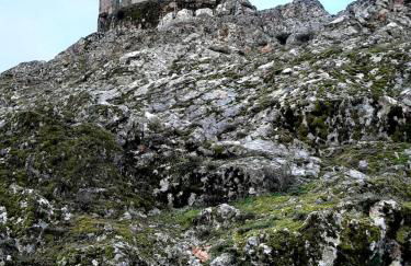 Casa da Tia Lurdes - Foto 22