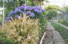 Refugio D Alecrim - Foto 47