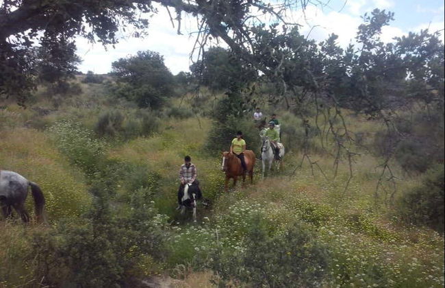 Paseo a caballo por el campo de Cáceres - Foto 5
