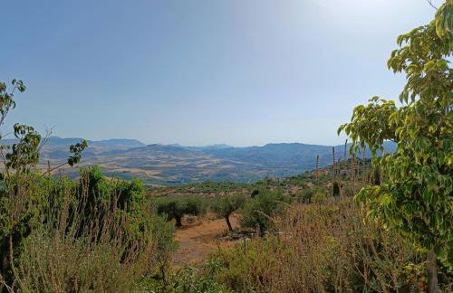 Casa Oasis - Foto 43