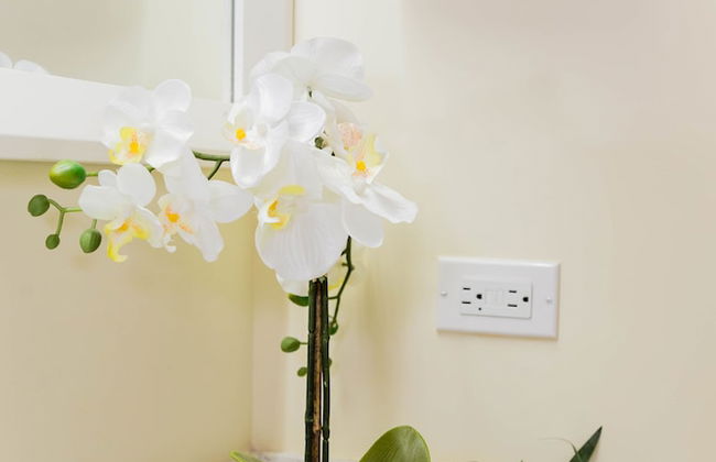 Ocho Rios Villas at Coolshade II - Photo 8