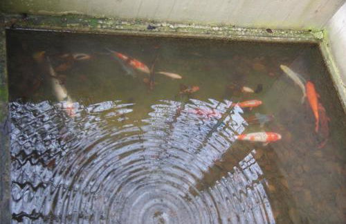 Ferienwohnung "Mosel" - Foto 47