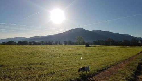 Ferienwohnung am Siegelbächle - Foto 2