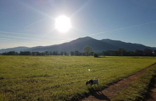Ferienwohnung am Siegelbächle - Foto 2