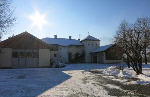 Feldererhof - Foto 19