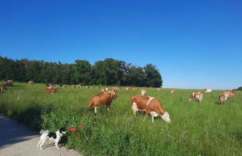 Apartments bei Playmobil EG,130m2,große Terassen,24h Self Check-in, free Parking - Foto 33