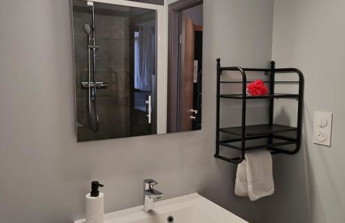 Studio 74 Rénové et Équipé - Nancy CHRU,CESI,FAC - Foto 7