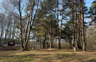 Oaza Radęcin - Foto 35