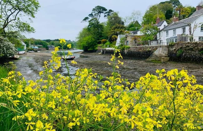 Wellspring Cottage nr Kynance Cove - Foto 10
