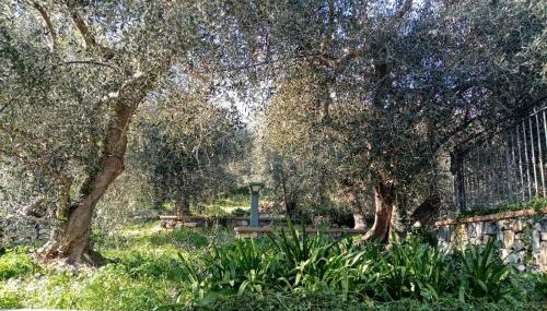 Agrisport Cà di Cuni - Foto 5, Garden