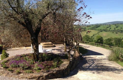 Podere Poggio Benedetto - Foto 16