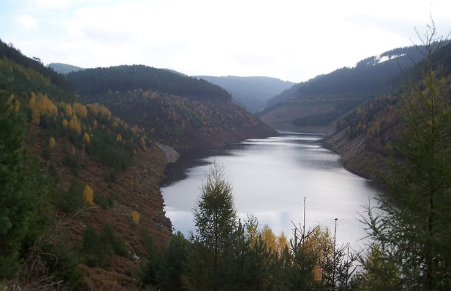 Apartment in Thuringian Forest With Garden - Foto 33