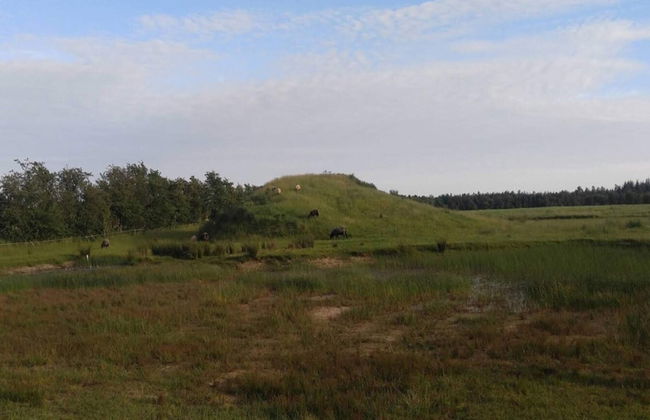 4 Person Holiday Home in Ansager-by Traum - Foto 16