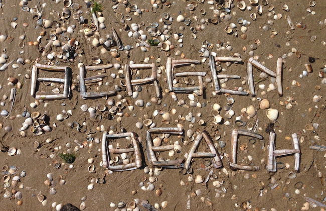 Beautiful House in Bergen aan Zee in the Dunes - Foto 23