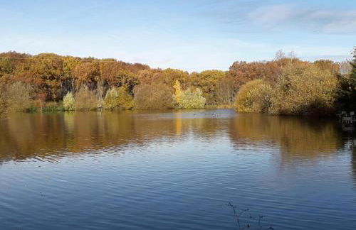 Maison de campagne avec étang, animaux acceptés, jardin privé - FR-1-489-293 - Foto 13