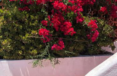 Genies Villa Boutique Algarve - Foto 43