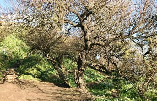 Rocket Cart House - Foto 27