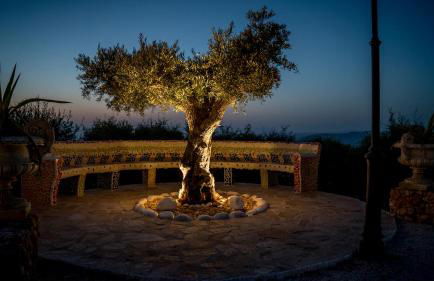 Finca Sonrisa - Photo 45