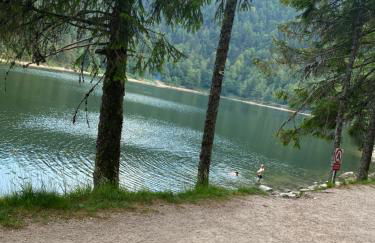 LE VERTBRUCHE - Gîte avec superbe vue pour 15 pers - Foto 38