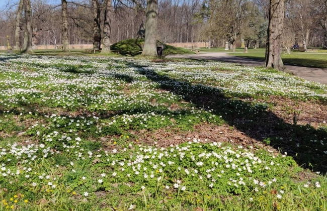 4 Person Holiday Home in Jaegerspris - Foto 17