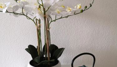 Studio cabine face piscine - Foto 3