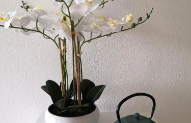 Studio cabine face piscine - Foto 3