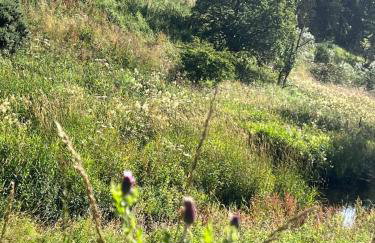 Gellyburn Cottage a Modern Farm Cottage with Countryside Views - Foto 64
