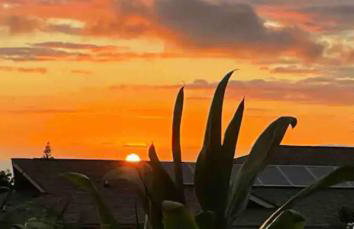 Summer spirit Neapolis - Photo 24