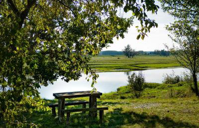 Agroturystyka Nad Wartą - Foto 54