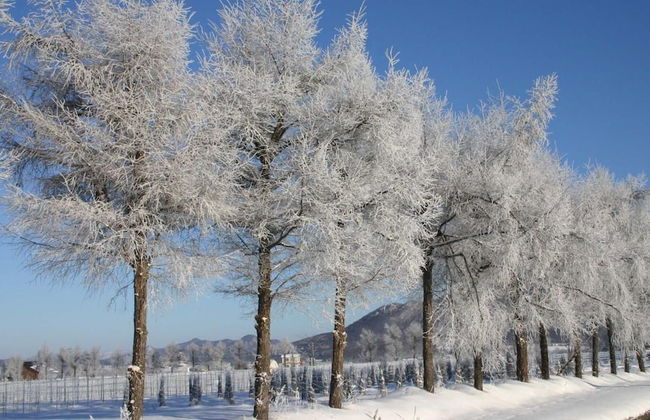 Stay in Biei - Foto 45