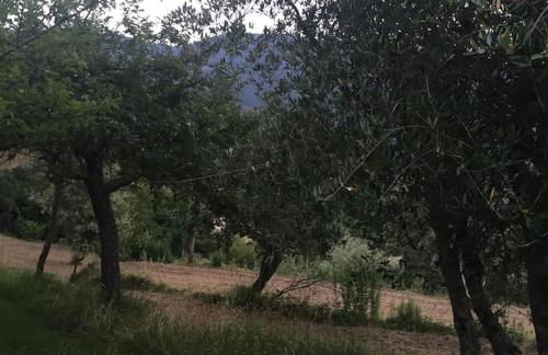 Villino I Balzi - Foto 25