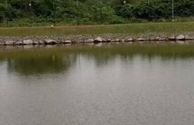 Parque monte alto - Photo 19