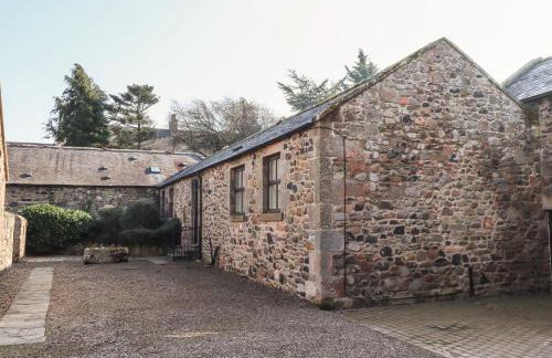 Bizzie Lizzie - Photo 29