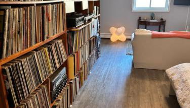 Mid-Century DJs Dream near Rhinebeck - Foto 5