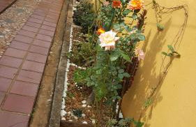 Yolanda Family House - Foto 28