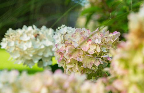 Domki w Naturze - Foto 77