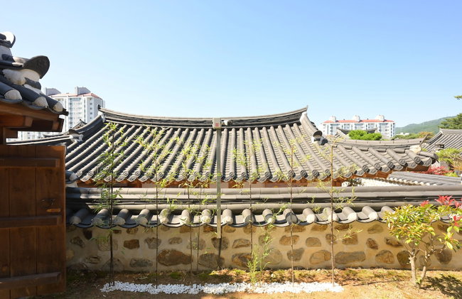 Donghae Hanok Donganjae - Foto 11