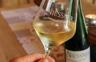 Ferienweingut Niessner - Foto 35